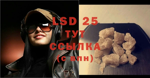 индика Баксан