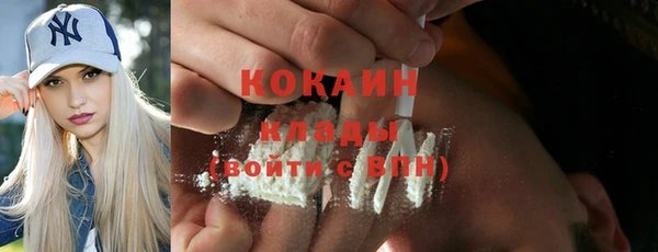 индика Баксан