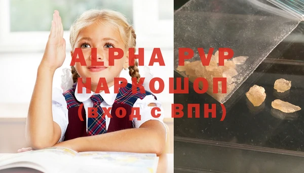 индика Баксан