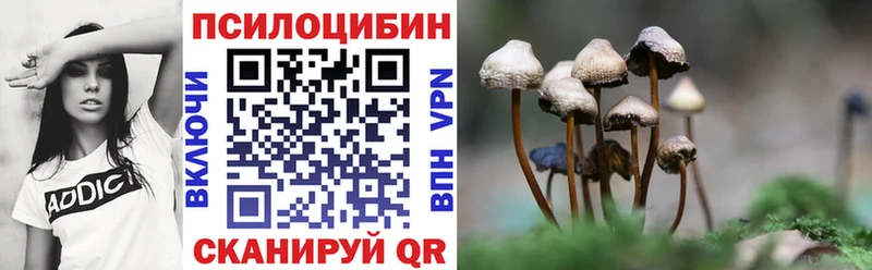 Галлюциногенные грибы мицелий Губаха