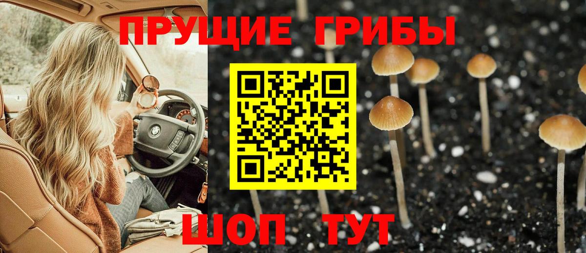 Псилоцибиновые грибы GOLDEN TEACHER  Вход с VPN  Губаха  Псилоцибиновые грибы мицелий 