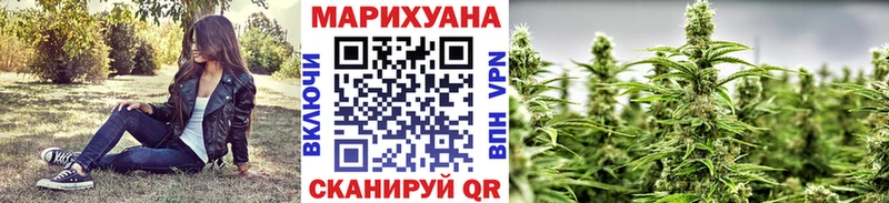 Бошки марихуана сатива Губаха